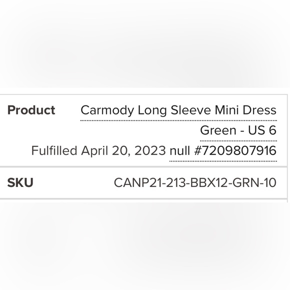 Beginning boutique carmody mesh long sleeve coverup mini dress - Picture 6 of 6